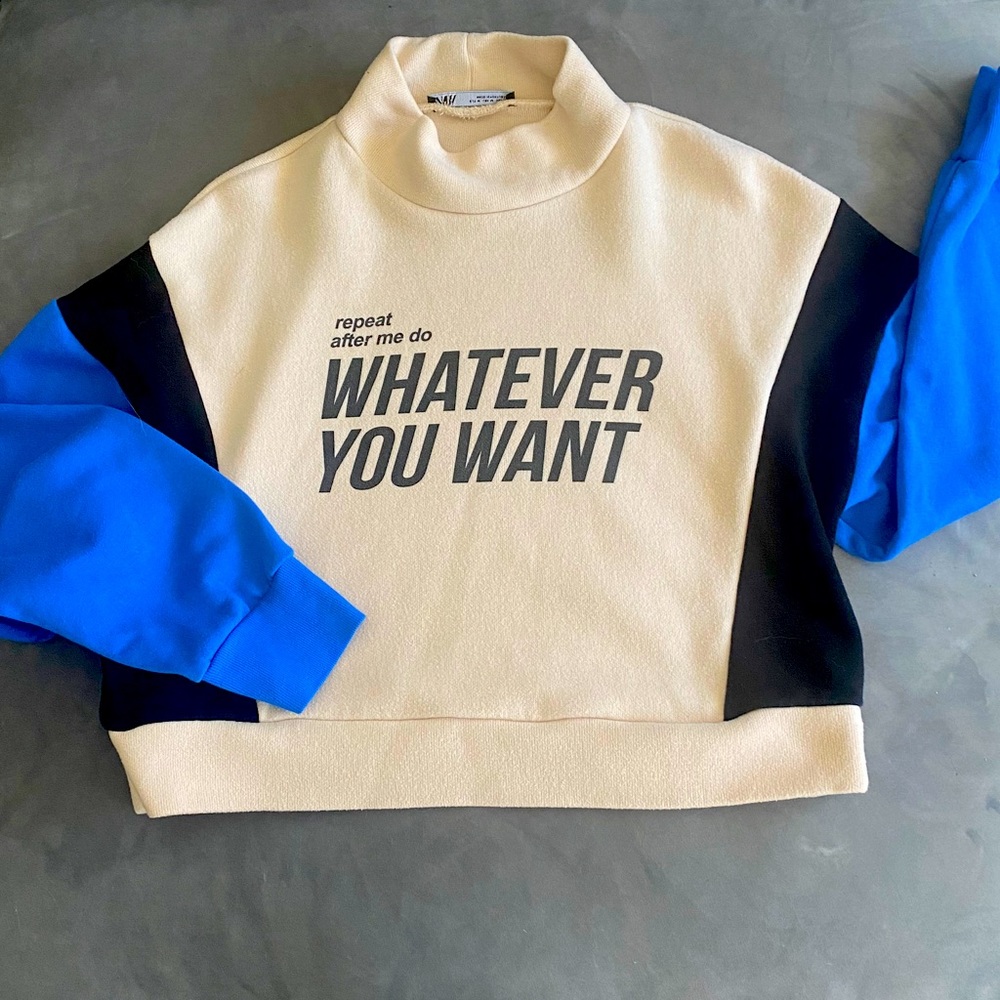 Never worn Zara crop sweater